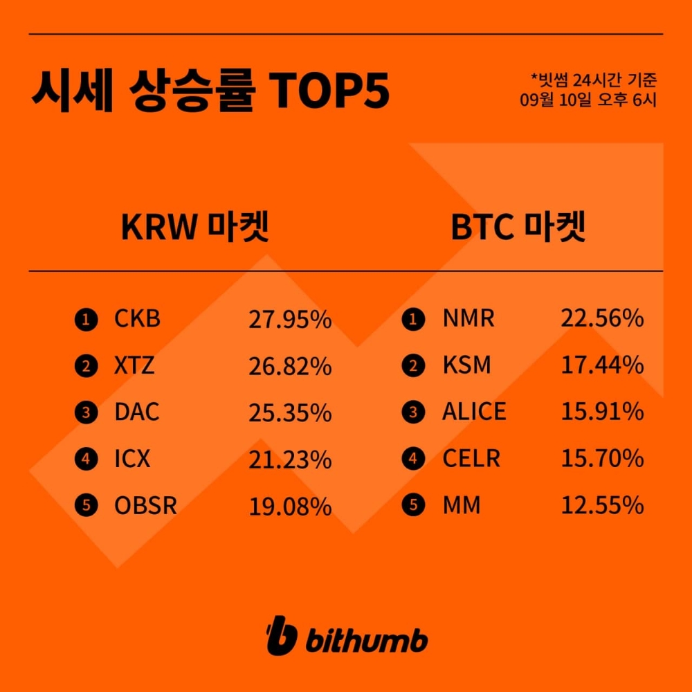빗썸 상승률TOP5]너보스·테조스·다빈치·아이콘·옵저버 급등, 어떤 코인? < 증권·IB < 금융·증권 < 기사본문 - 핀포인트뉴스