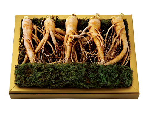 명품 수삼 세트.