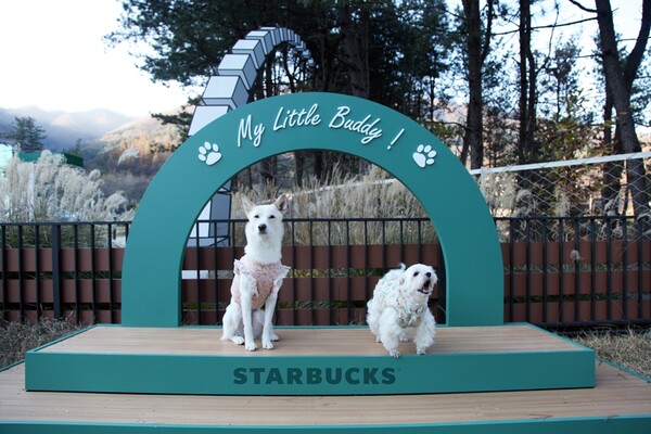 스타벅스 코리아가 국내 유일의 스타벅스 펫 프렌들리 매장인 ‘더북한강R점’을 리뉴얼 오픈했다. 기존 100평 규모의 야외 펫 파크와 시너지 효과를 낼 수 있는 다채로운 반려동물 놀이 콘텐츠를 추가해 눈길을 끈다.