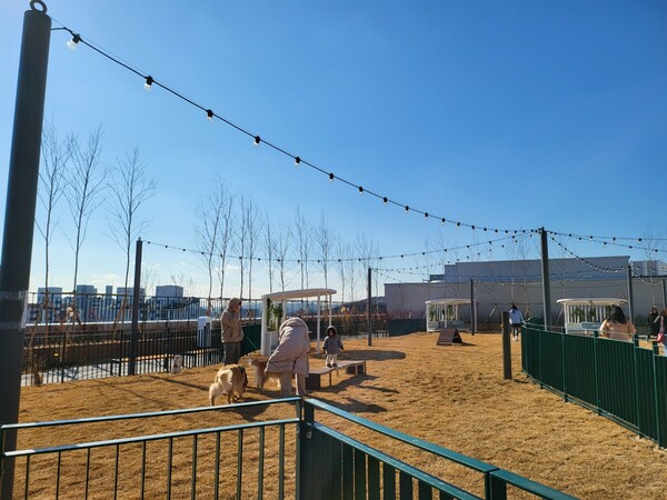 8층 옥상에 자리한 펫파크. (사진=구변경 기자)