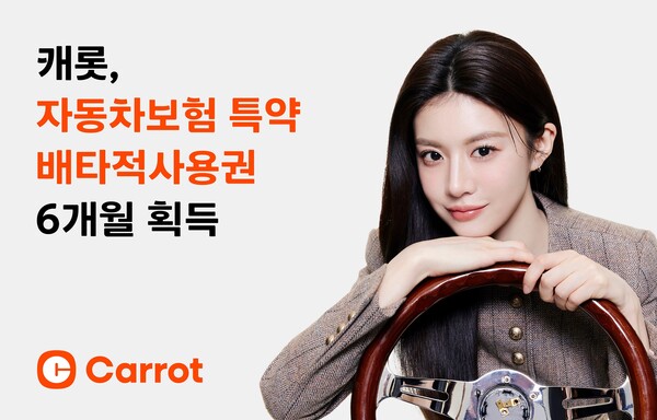 사진=캐롯손해보험