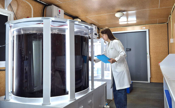 풀무원기술원 연구원이 바이오리엑터로 불리는 큰 수조 안에서 재배되고 있는 육상 양식 김을 연구하고 있다. (사진=풀무원)