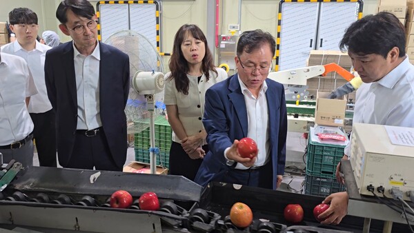 조항목 NS홈쇼핑 대표이사가 경남 거창군 산지유통센터(APC)에서 선별 과정을 점검하고 있다. (사진=NS홈쇼핑)