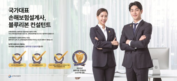 사진=손해보험협회