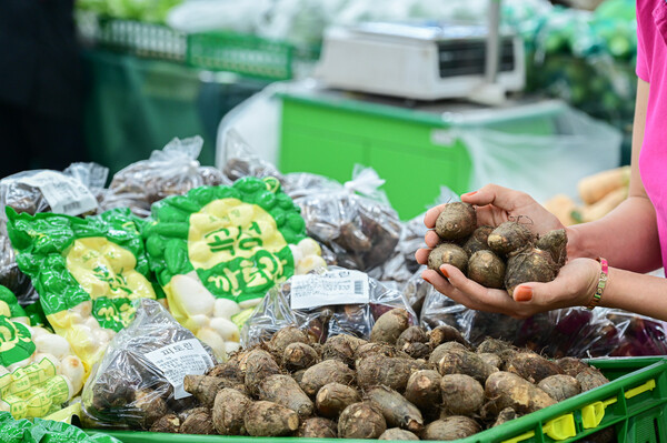 11일 서울 서초구 농협 하나로마트 양재점에서 토란이 판매되고 있다. (사진=농협유통)