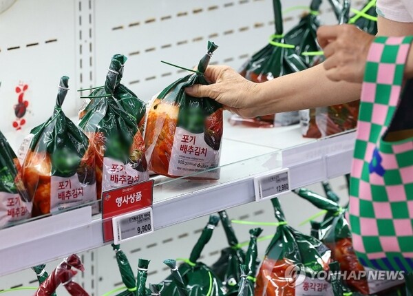 8월 폭염 영향으로 배추 가격 고공행진이 이어진 24일 오전 서울 서초구 하나로마트 양재점에서 한 시민이 김치를 고르고 있다. (사진=연합뉴스)