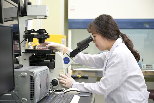 KGC인삼공사 연구원이 홍삼 연구를 수행하고 있다. (사진=KGC인삼공사)