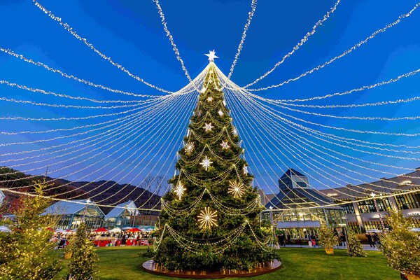 사진=롯데아울렛