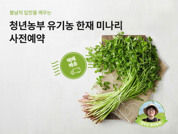 유기농 한재 미나리 (사진=현대그린푸드)