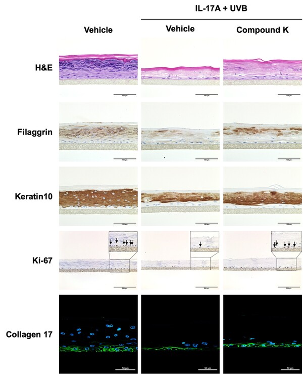 사진=아모레퍼시픽
