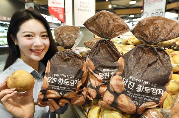 모델이 19일 서울 등촌동 ‘홈플러스 메가 푸드 마켓 라이브 강서점’에서 신상품 ‘당진 황토 감자’를 소개하고 있다. (사진=홈플러스)