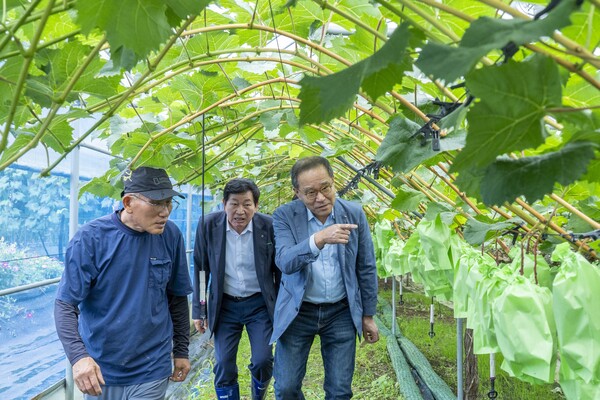 18일 경기도 남부 소재 농가를 방문해 (오른쪽 첫번째부터)이찬우 회장과 박경식 안산농협 박경식 조합장이 함께 애로사항을 청취하고 있다. [사진=NH농협금융그룹]