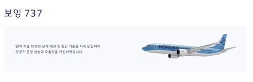 ´ëÇÑÇ×°ø B737 ¿©°´±â. ´ëÇÑÇ×°ø Á¦°ø.
