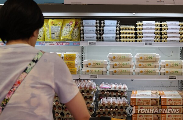 서울 한 대형마트 계란 매장 모습. (사진=연합뉴스)