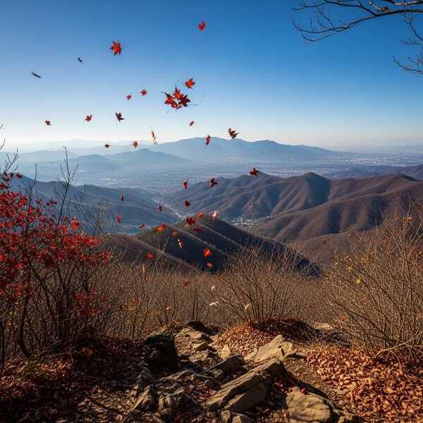 맑고 일교차 커…아침 영하권, 낮엔 포근