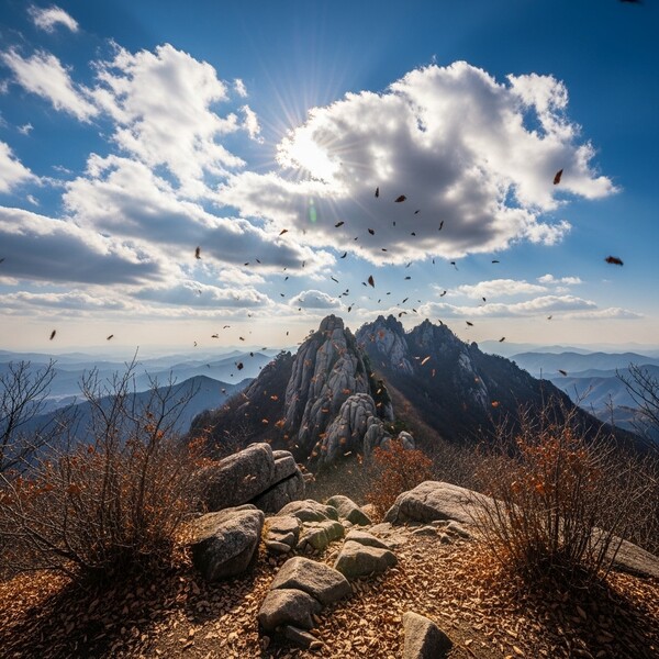 흐림 뒤 맑음, 낮에는 포근한 가을 햇살