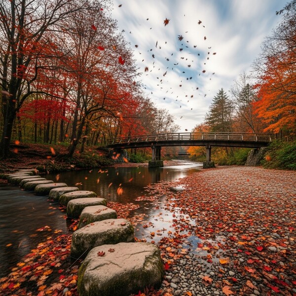 맑고 포근한 가을 햇살, 일교차 주의