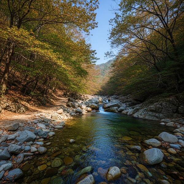 맑고 포근한 가을 햇살, 아침엔 다소 쌀쌀