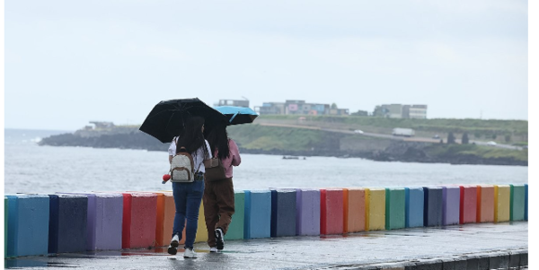 비내리는 제주. 사진=연합뉴스.
