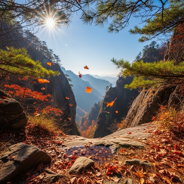 맑고 한기 감도는 초겨울 날씨