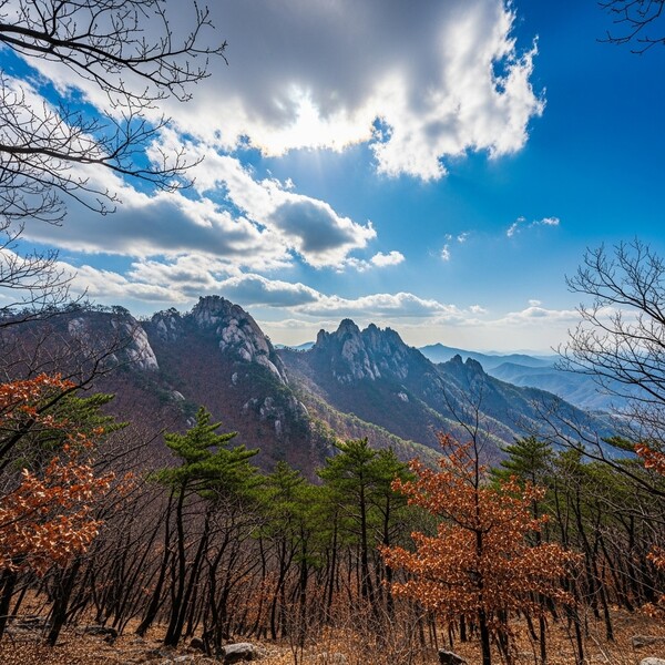 구름 사이 햇살, 낮에는 포근·아침은 쌀쌀