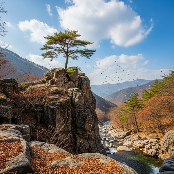 맑고 포근한 초겨울, 등산하기 좋은 날씨
