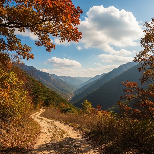 맑고 포근한 초겨울, 일교차 주의