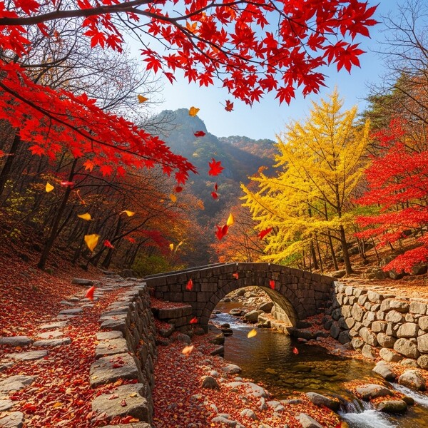 맑고 따뜻한 오후, 일교차 큰 초겨울 날씨