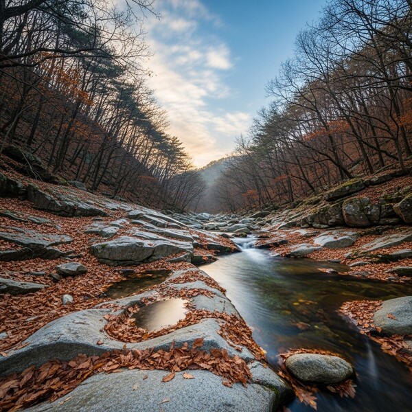 맑고 포근한 초겨울, 산행하기 좋은 날씨