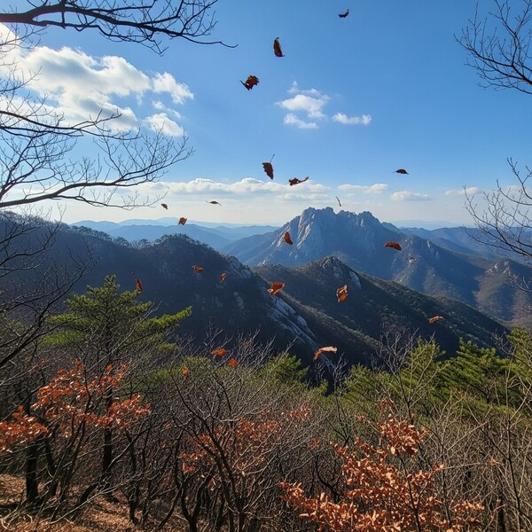 맑고 포근한 초겨울, 산행하기 좋은 날씨
