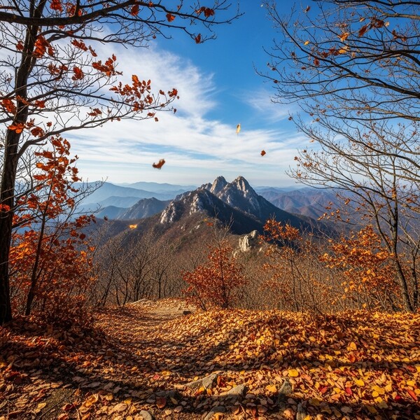 맑고 따뜻한 초겨울, 쾌청한 산행 날씨
