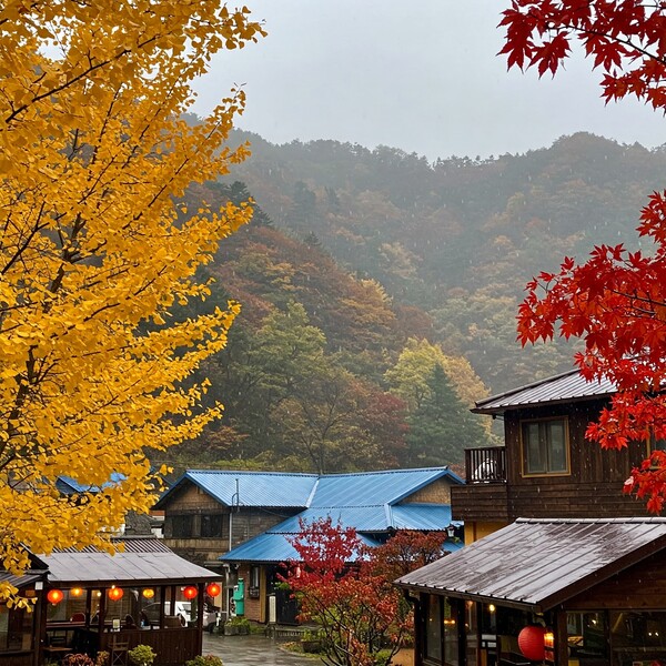 흐리고 쌀쌀…글피 전북 비, 산지는 비·눈