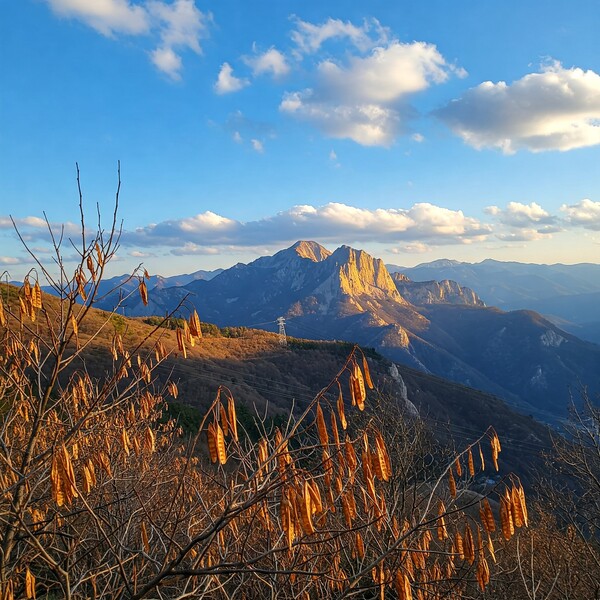 아침 맑고 낮부터 흐림…낮 12℃로 온화