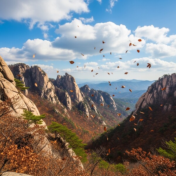 새벽 선선, 낮 맑고 포근…15℃까지 올라