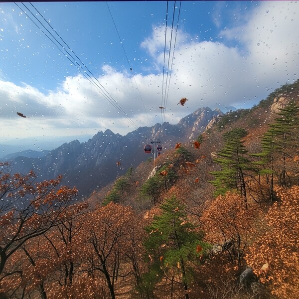 새벽 영하권, 낮 맑고 온화…7℃까지 올라