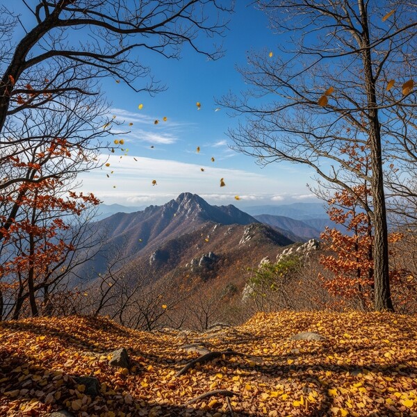 맑고 따뜻한 초겨울, 포근한 산행 날씨