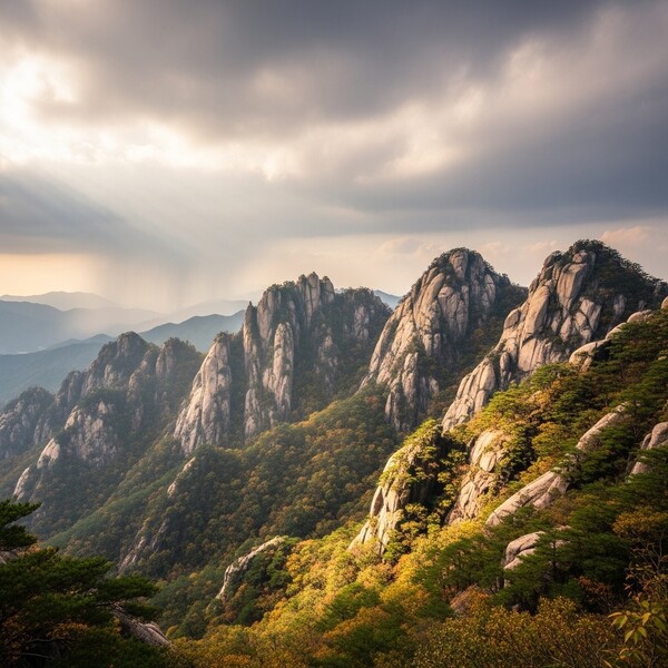 흐림 속 오후 약한 비, 낮 14℃로 비교적 온화