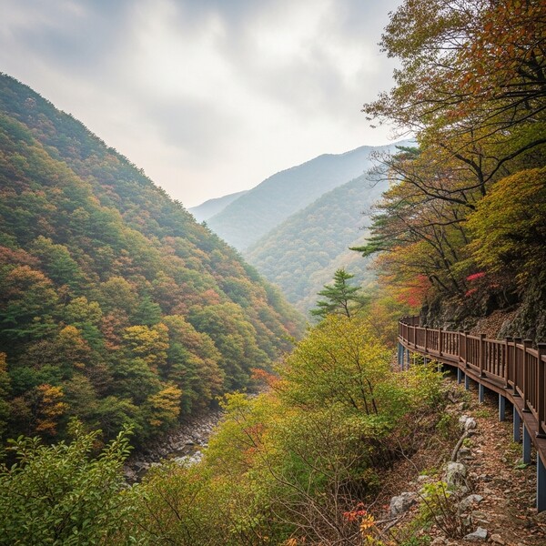 흐림 속 오후 약한 비, 낮 16℃로 비교적 온화