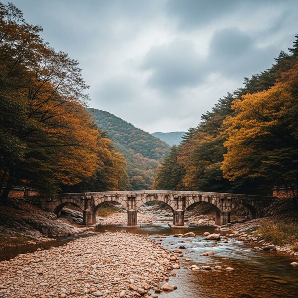 흐림 지속, 오후 약한 비…낮 15℃로 비교적 온화