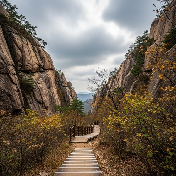 흐림 지속, 오후 약한 비…낮 15℃로 비교적 온화