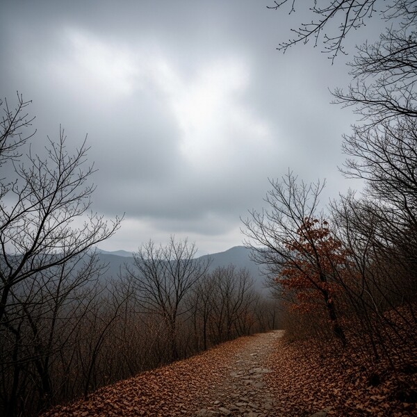 흐리다 맑아져…낮 14℃로 비교적 온화