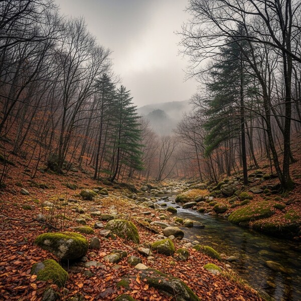 흐리다 맑아져…낮 15℃로 온화