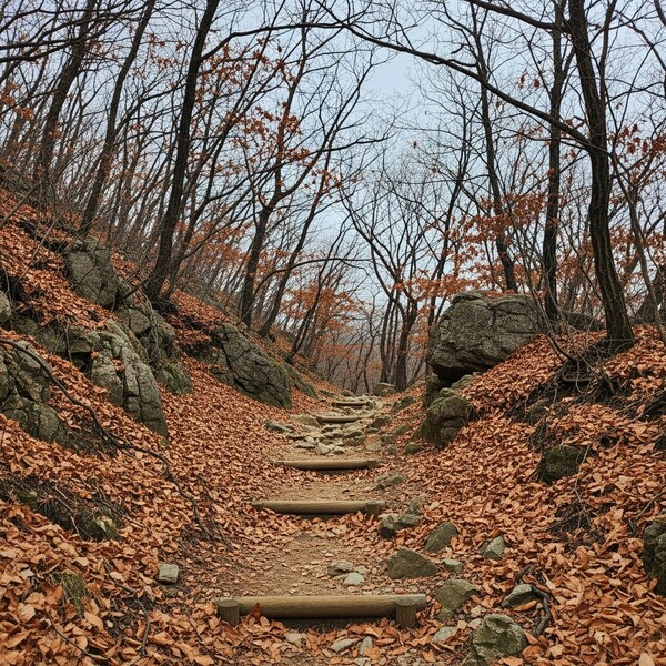 흐림 속 늦은 오후 약한 비…낮 15℃로 온화
