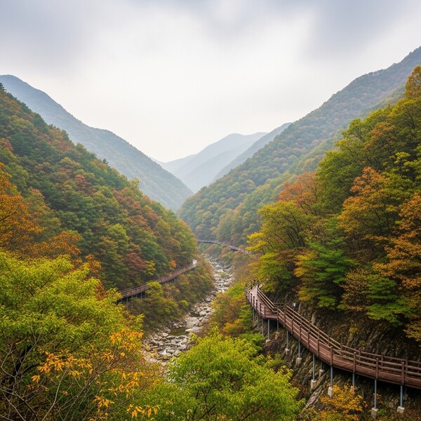 종일 흐림, 오후 잠시 햇살…비는 없고 낮 14℃
