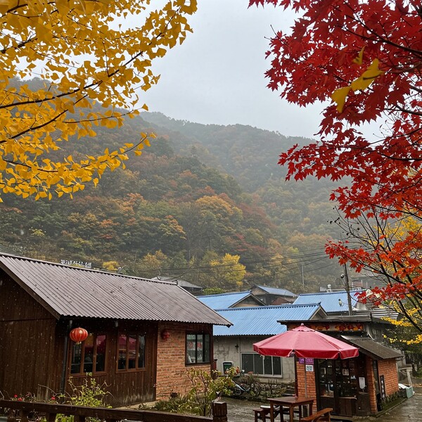 오전 흐림, 오후 맑음…비는 없고 낮 13℃