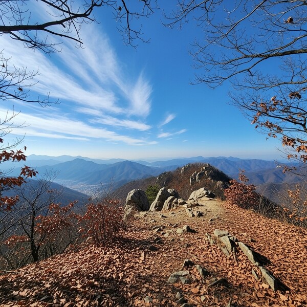 오전 흐림, 오후 맑음…비는 없고 낮 17℃