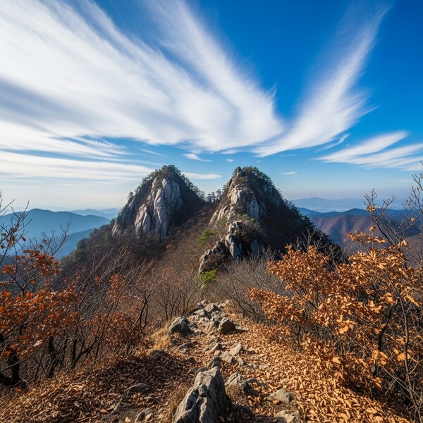 오전 흐림, 오후 맑음…비는 없고 낮 15℃