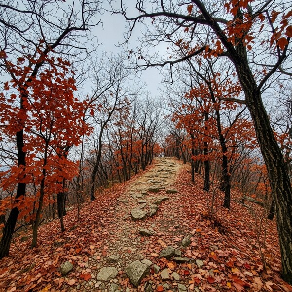 흐림 속 오전·정오 약한 비, 낮 9℃로 선선