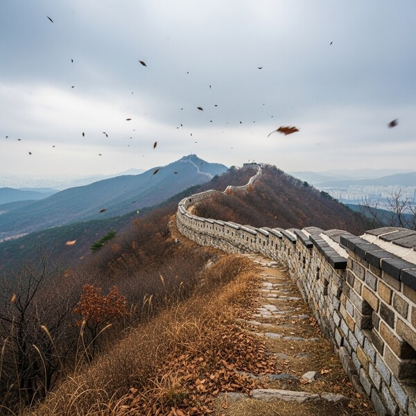 흐림 속 오전~정오 비, 낮 11℃로 서늘