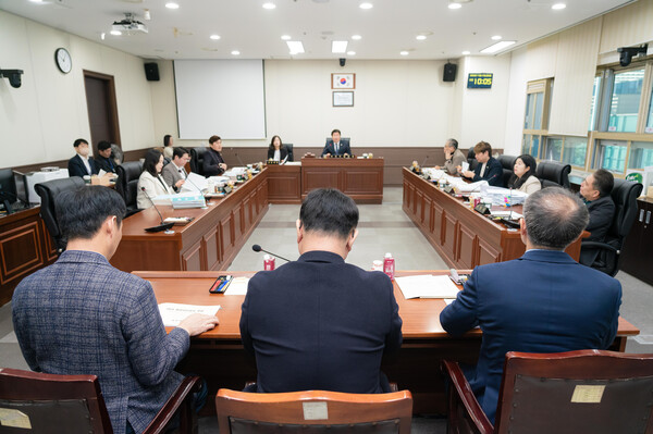 용인특례시의회 자치행정위원회 회의 모습. (사진=용인특례시의회)